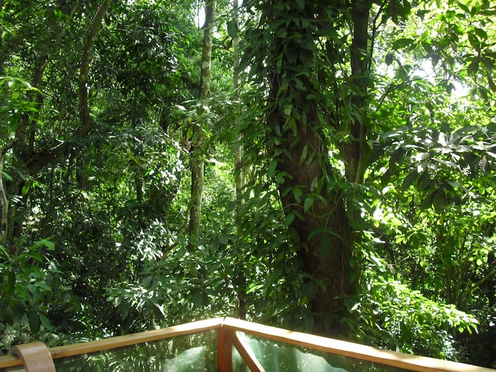 Nature Retreat/Quepos/Manuel Antonio