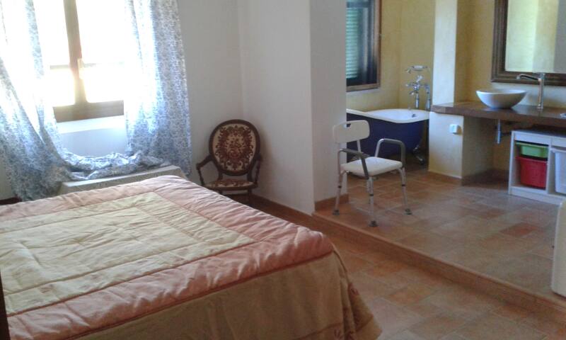Carlos House (Rustic House)