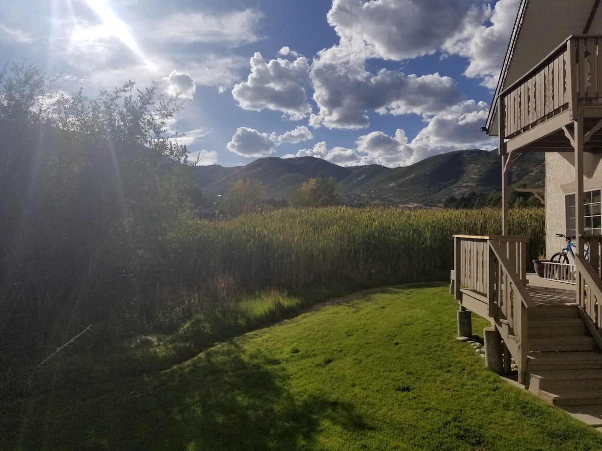 A spacious outdoor area is shown, featuring a well-maintained lawn and a wooden deck. Lush greenery and tall grasses frame the view, while distant hills are visible under a partly cloudy sky. Natural sunlight illuminates the scene, enhancing the tranquil ambiance.