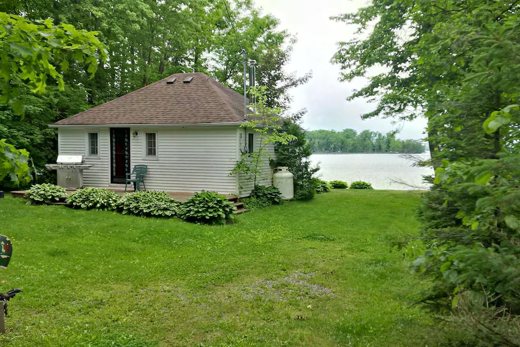 The back and side yard.