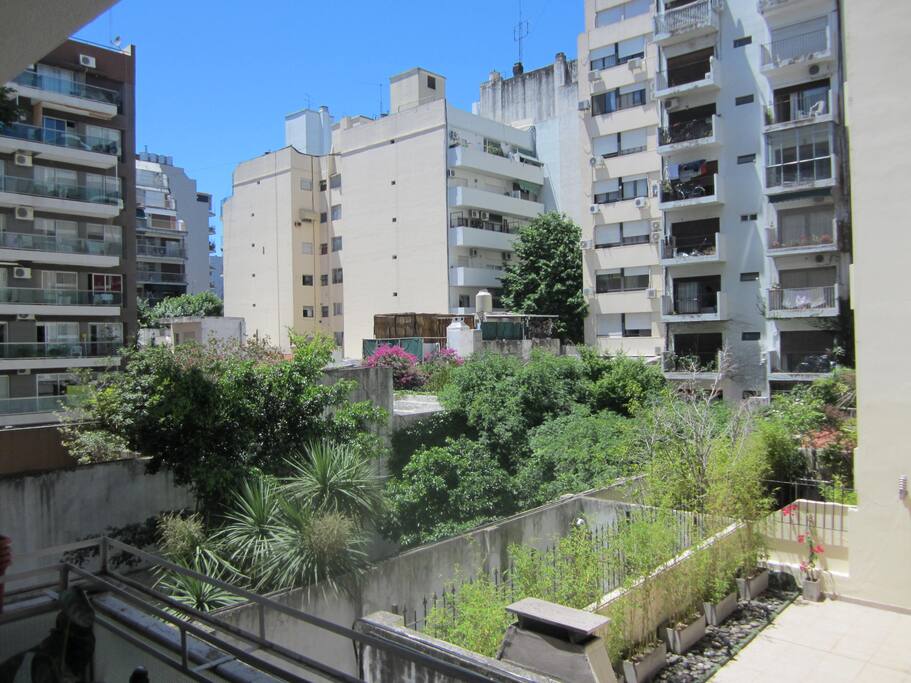 Vista al pulmon de manzana