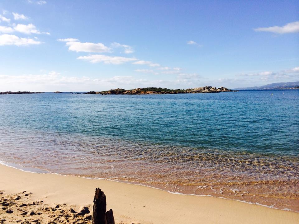 An unobstructed view of a sandy beach is displayed, with gentle waves lapping at the shore. In the distance, an island emerges from the tranquil blue water, while a clear sky with light clouds extends overhead.