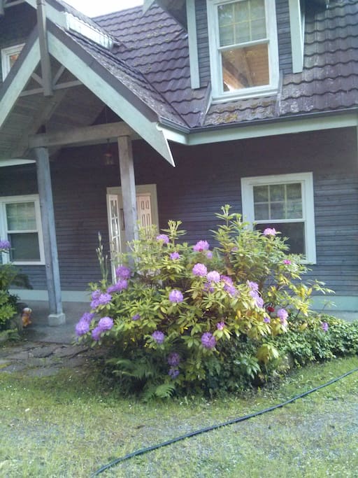 spring blooms