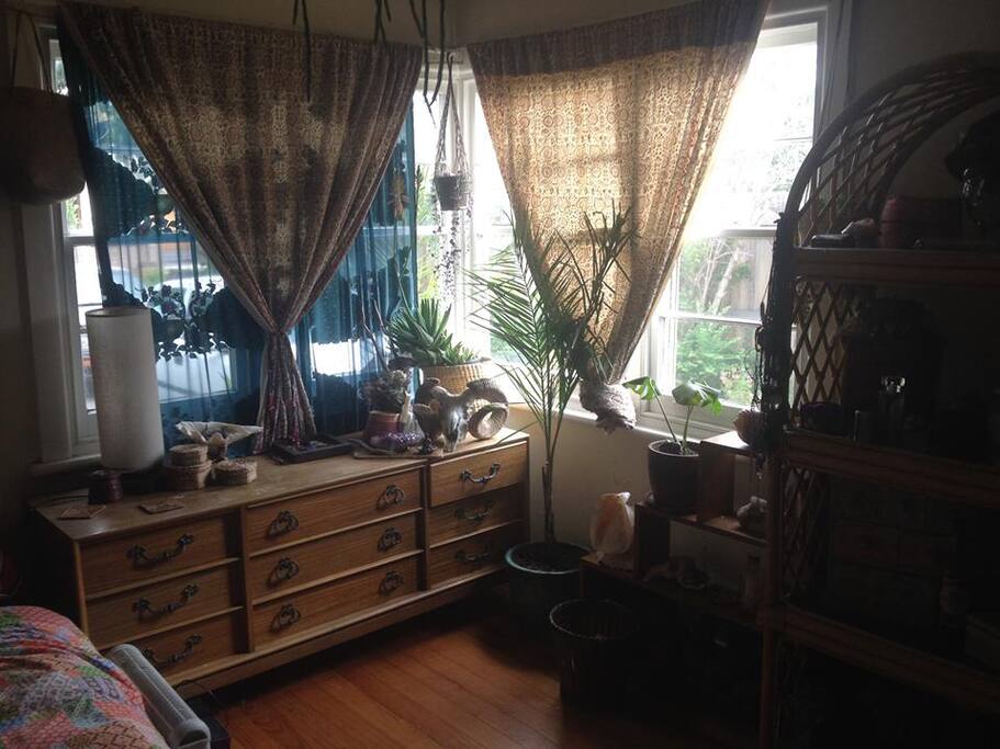East and south facing windows, overlooking front garden and side entrance.