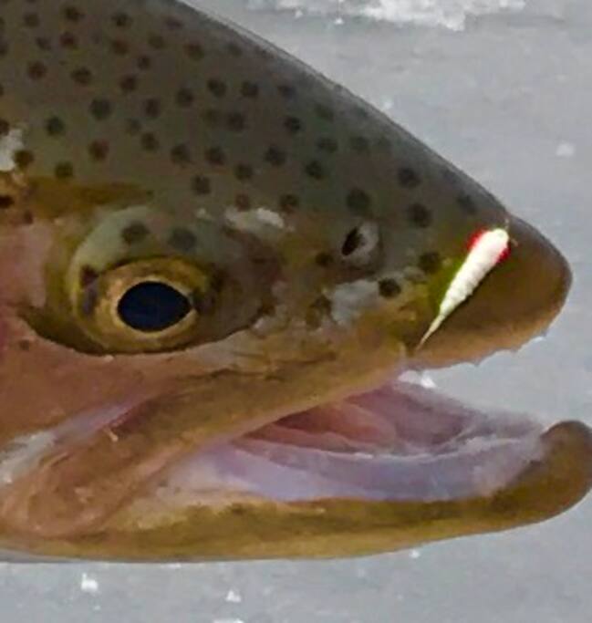 Close to local fishing .