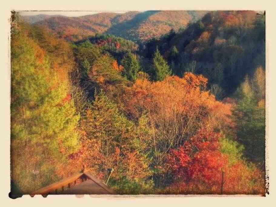 Beautiful Fall Color