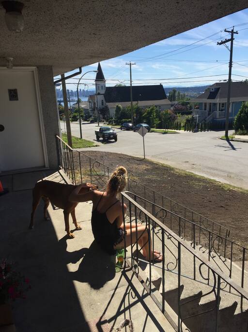 Take a moment to greet our dog, he'll love you forever