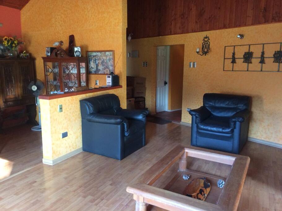 Vista del living