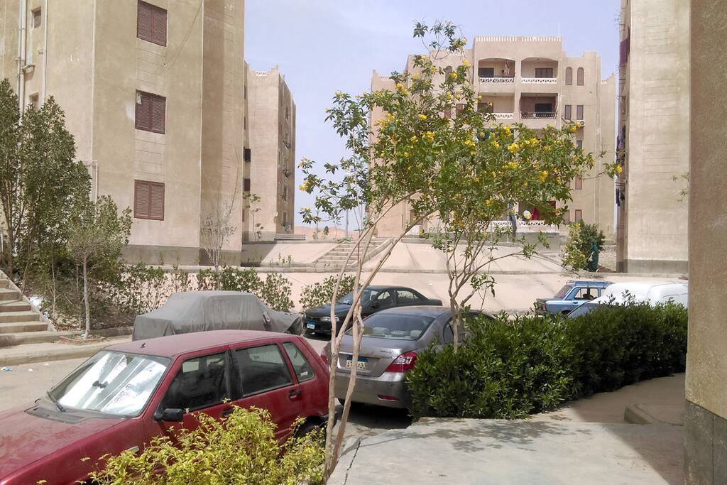 The street