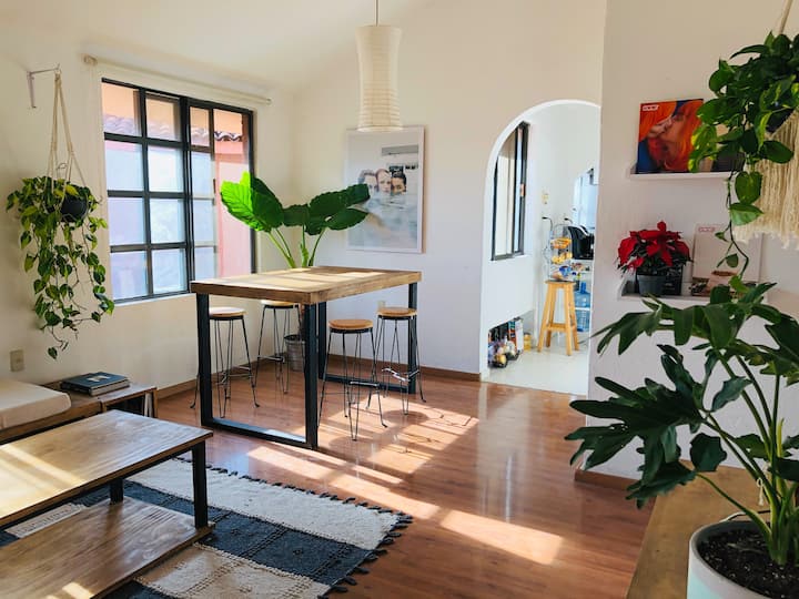 Santiago De Querétaro Vacation Rentals Airbnb