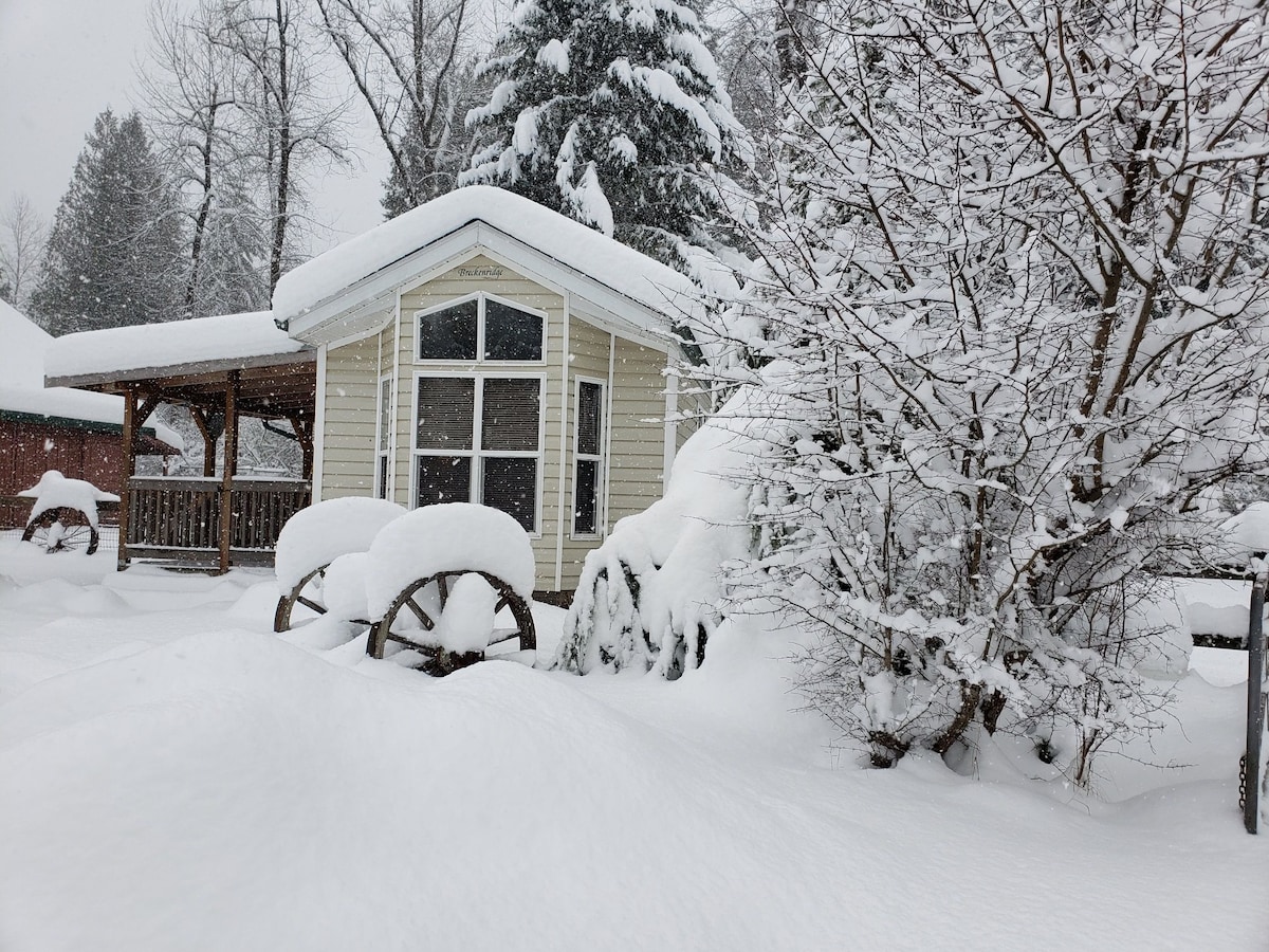A park model mobile home is surrounded by deep snow, showcasing a charming exterior with large windows. Snow covers the roof and grounds, with snow-laden trees and bushes nearby. A wooden structure can be seen in the background, adding texture to the winter landscape.