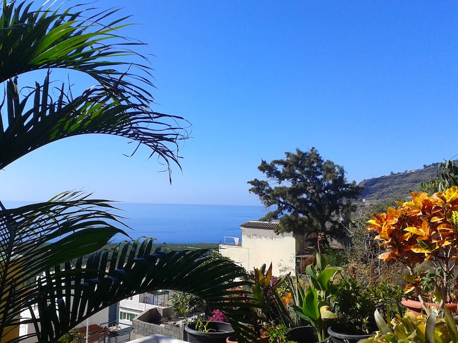 Terrace with sea view
