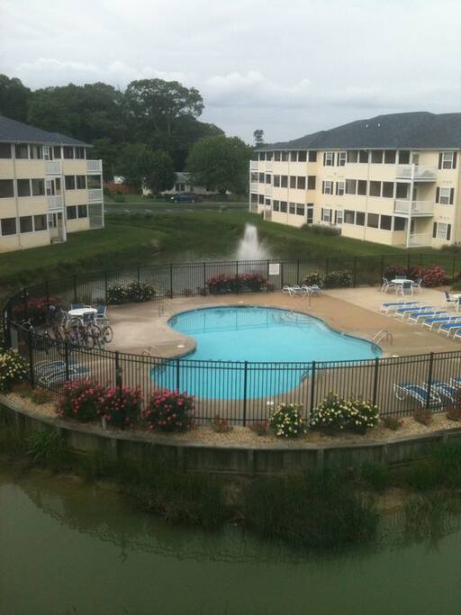 Pool view from the condo