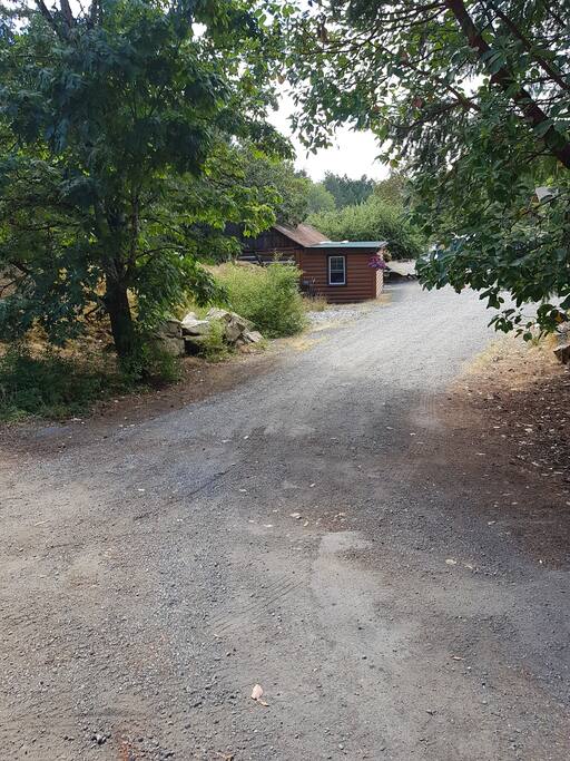 View coming down the driveway. We live across from the log cabin.