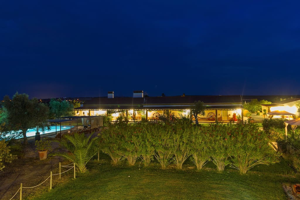 Piscina e jardins