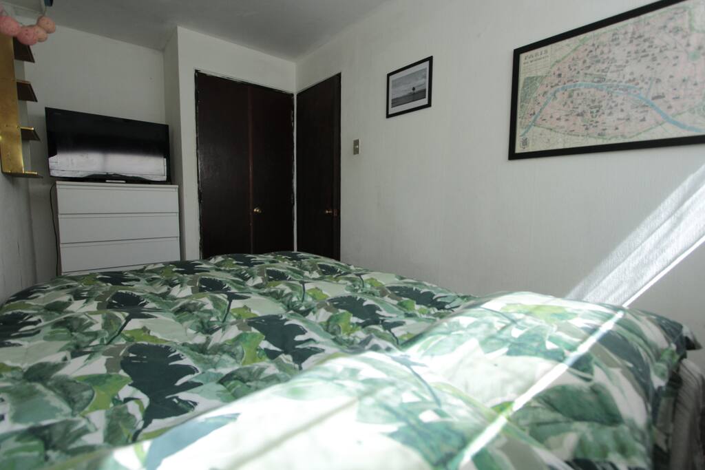 Cómoda habitación con cama de dos plazas, closet, cajonera y tv.