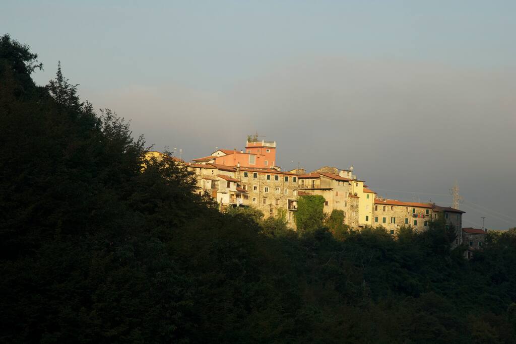 Bedizzano