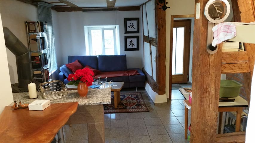 Gemütliche kleine Wohnung in 72186 Empfingen