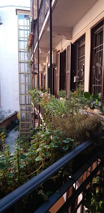 TERRAZZINO
