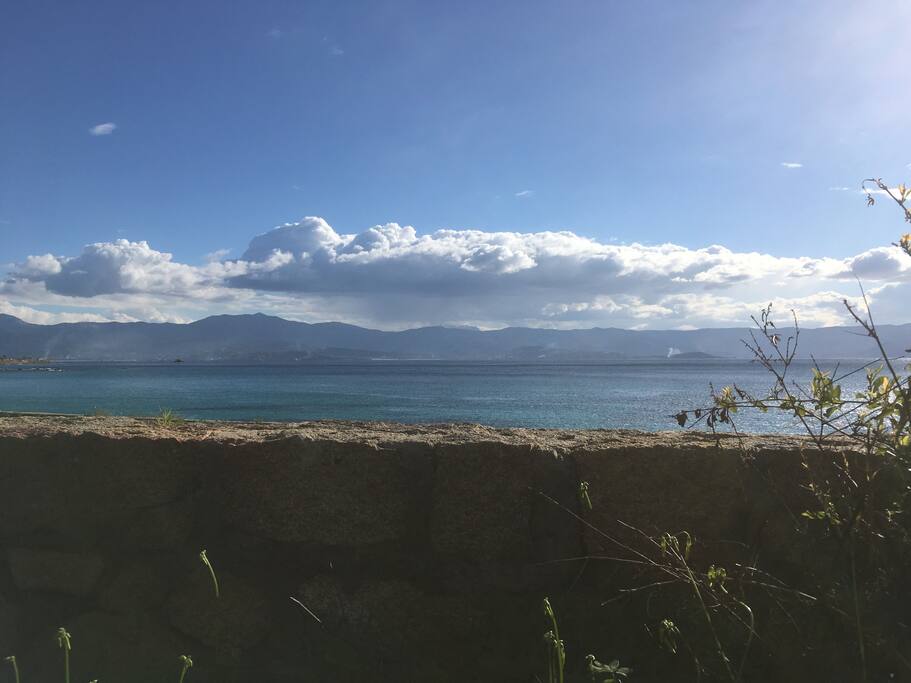 View from the yard