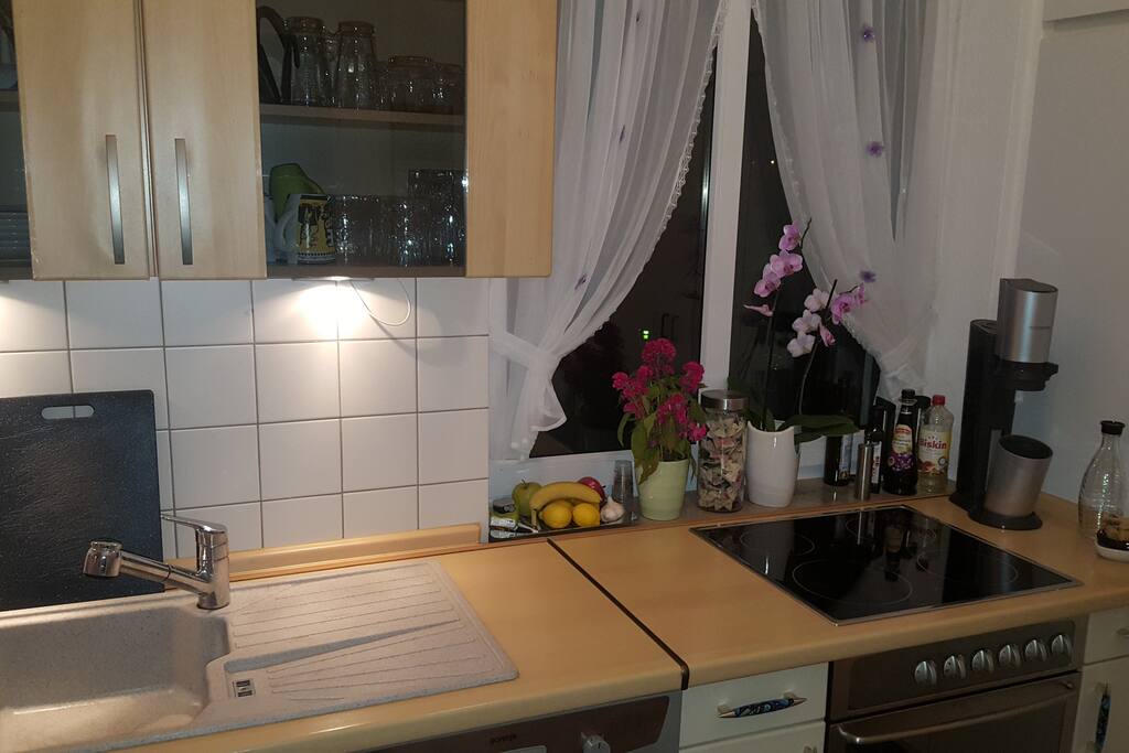 Gemütliche Küche mit Spülmaschine, Backofen/Ceranfeld, Kühlschrank