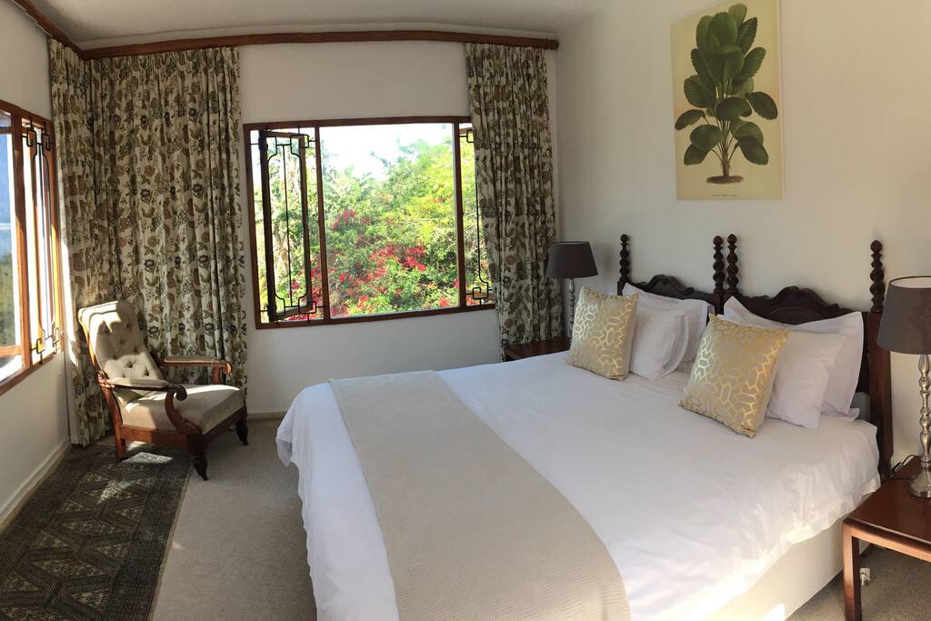 Palm room