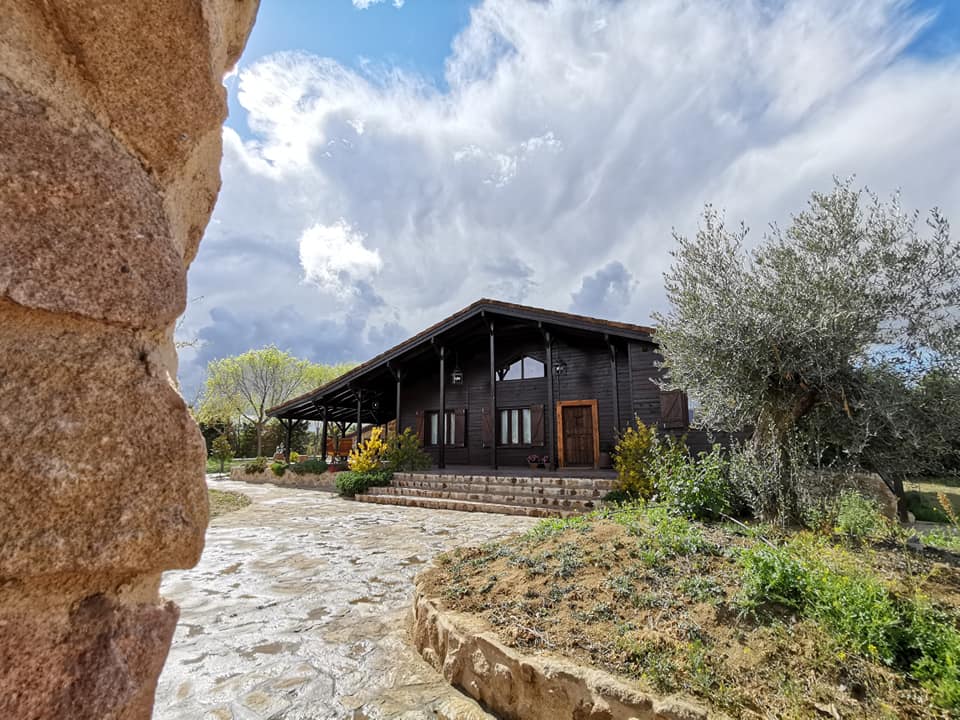 A modern wooden house is positioned amidst greenery, showcasing a spacious porch framed by trees. The path leading to the entrance is made of natural stone, while a variety of plants and flowers surround the building, enhancing the serene outdoor environment.