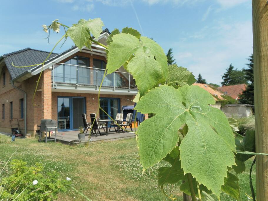 Landhaus am Rebstock direkt am Weingut Hohmann Rügen