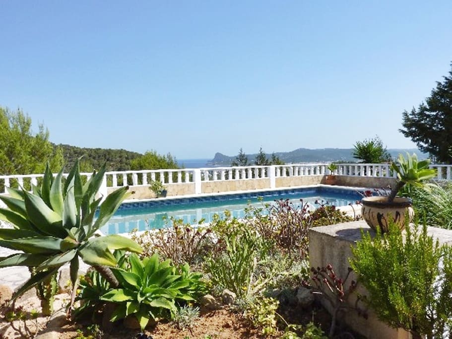 Garten und Pool