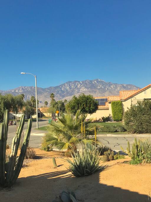 View when you step out each day