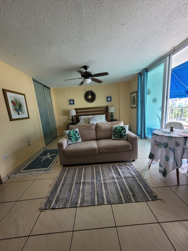 Pool, Free Parking ,Ocean View, 24 Hour Security - Puerto Rico