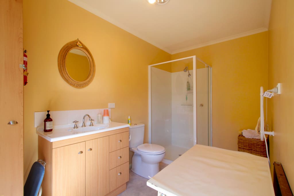 Ensuite modern bathroom with spacious shower, overhead heater and fan, heated towel rail, iron and ironing board, hair dryer