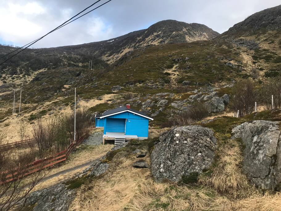 Flott turtereng i fjellene rett bak hytta. Solvendt terasse med utsikt og ett yrende fugleliv. Parkering ved siden av hytta.