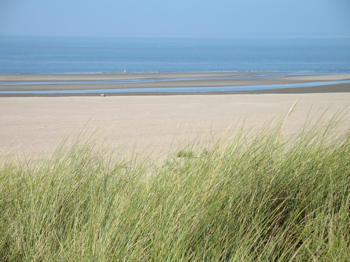 A serene coastal view is presented, featuring sandy stretches and gentle waves in the background. Grassy dunes frame the scene, providing a natural contrast against the blue sea. The horizon meets the water smoothly, creating a peaceful atmosphere.