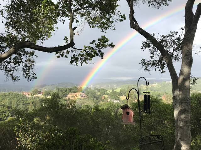 Panoramic Views- Lovely Close but Secluded Estate gallery image 3