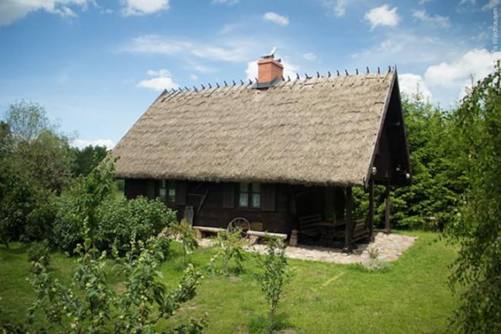 Tył