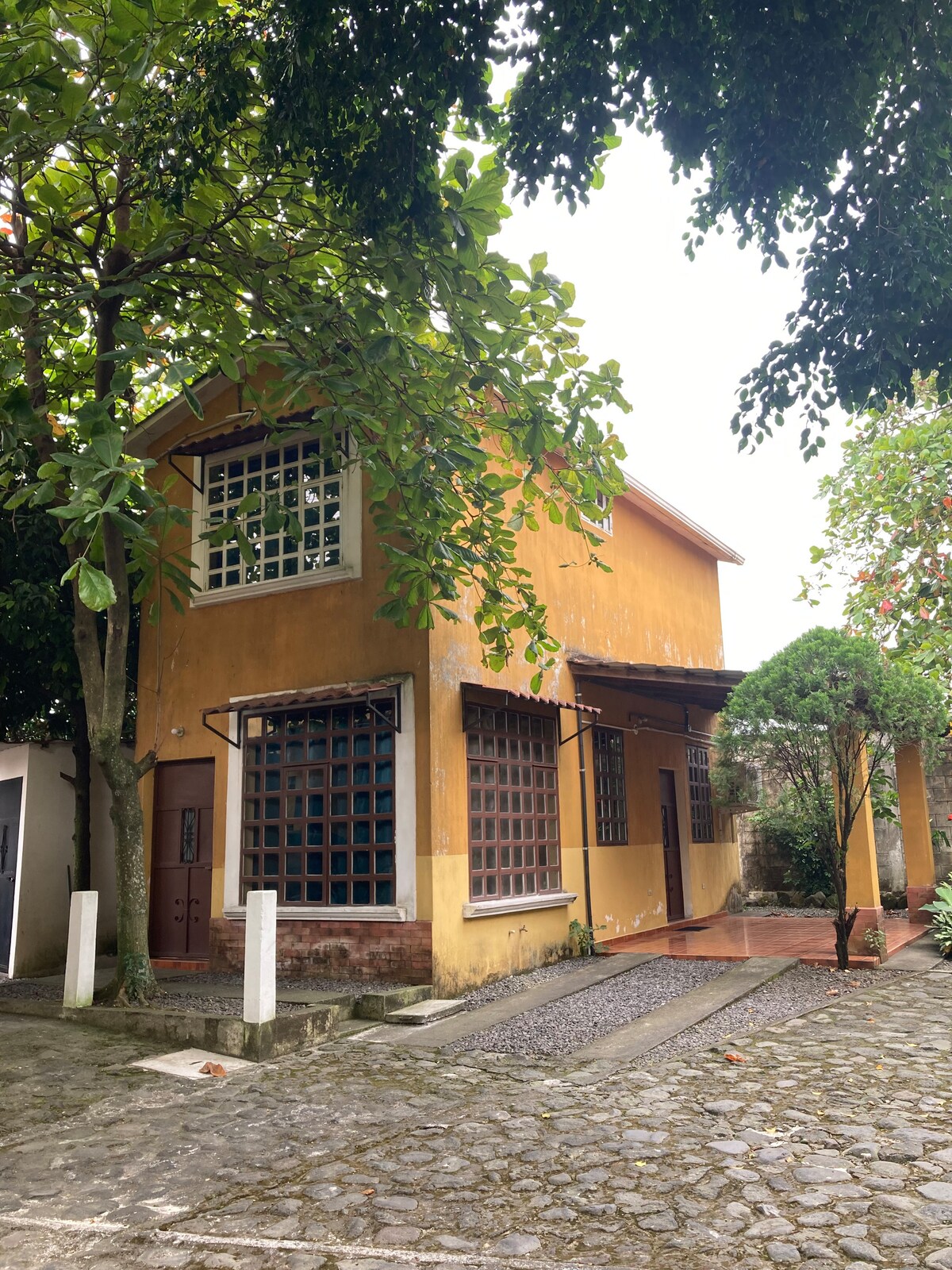 The two-level building features a vibrant yellow exterior, framed by lush greenery. Large windows with gridded design allow natural light to fill the interior. A cobblestone path leads to the main entrance, creating an inviting approach amidst the surrounding trees and plants.