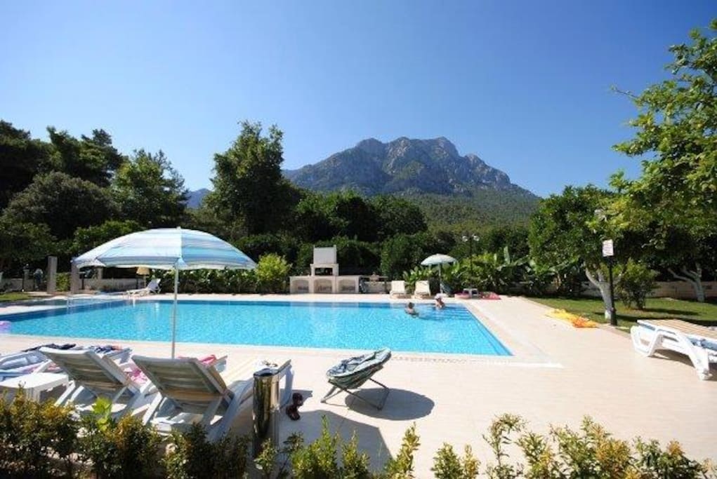 Lovely pool next to the orange grove