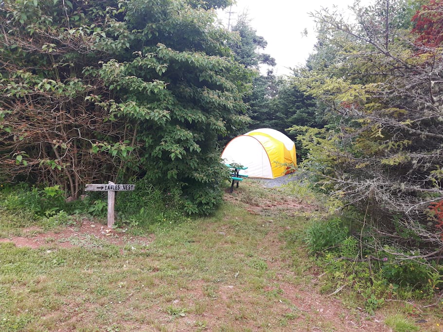 Private trail to Eagles Nest camping site