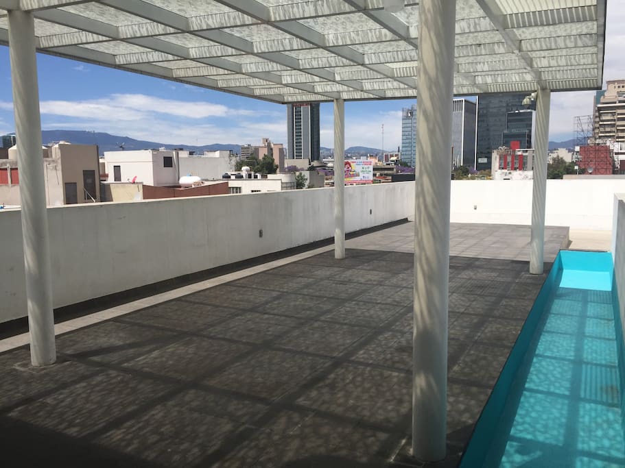 Roof garden
