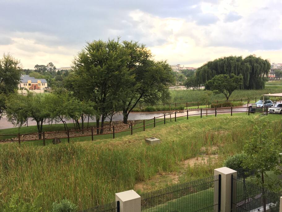 View from the patio(summer)