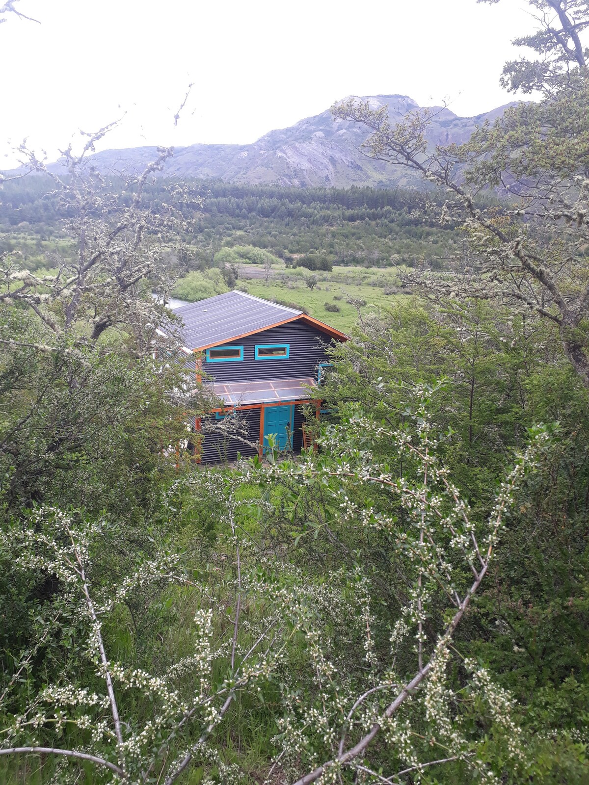 A wooden cabin is partially visible among the lush greenery, framed by shrubs and trees. The structure features large windows and a combination of green and orange accents. A mountainous landscape serves as a backdrop, highlighting the natural surroundings.