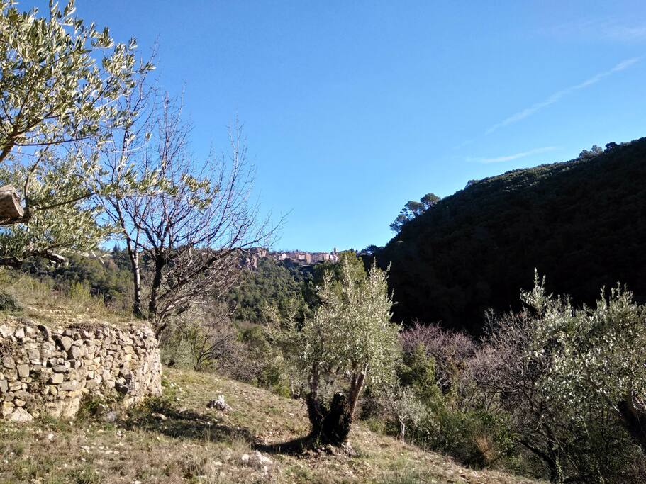 Nature