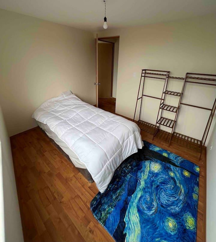 Chumba kimoja cha kulala kilicho na kabati na mkeka wa mapambo.