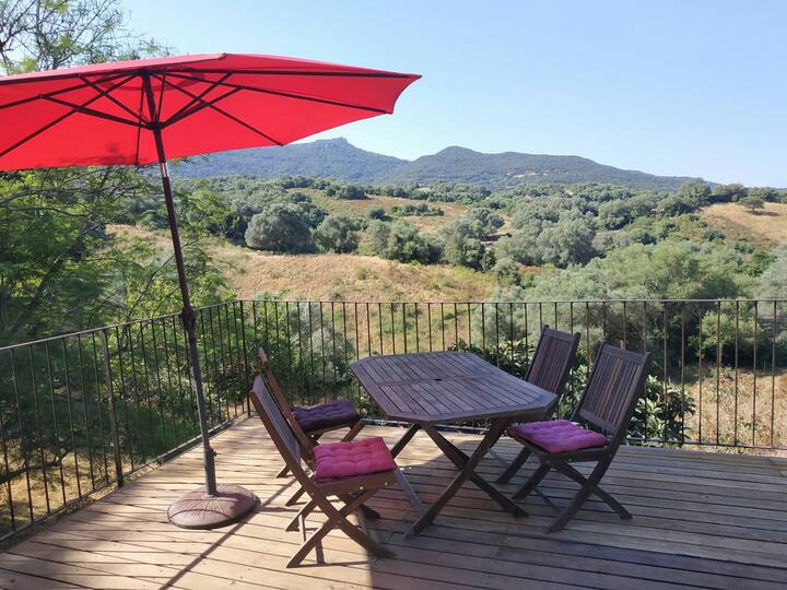 Der Olivenhain - Airbnb