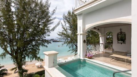 Old Trees Casuarinas