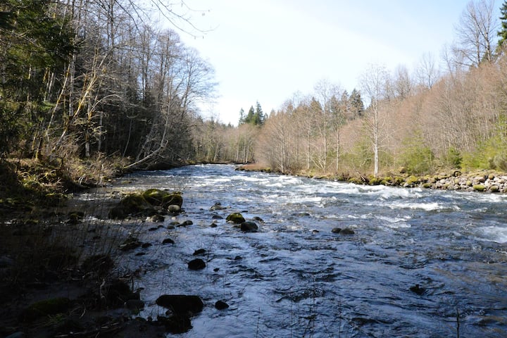 Zig Zag River a 3 minute walk from the cabin