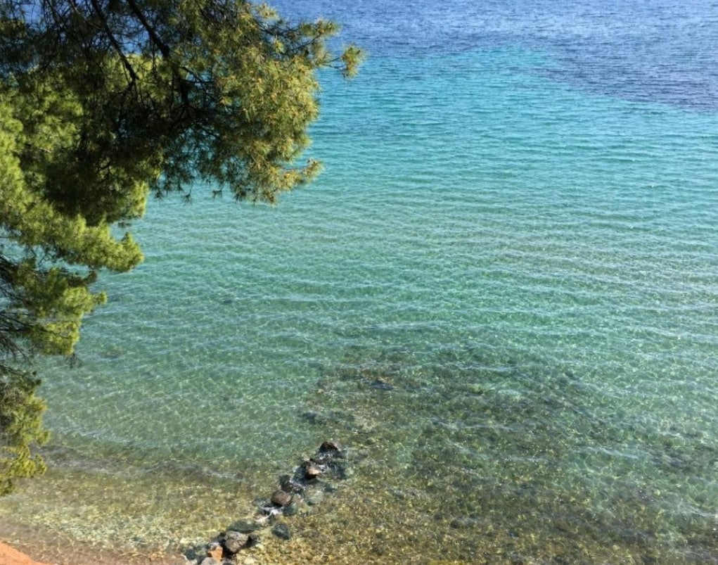 A clear view of tranquil water is presented, showcasing shades of blue and green. A rocky shoreline is visible at the water's edge, with gentle waves lapping against the pebbles. Overhanging branches from nearby trees provide natural shade.