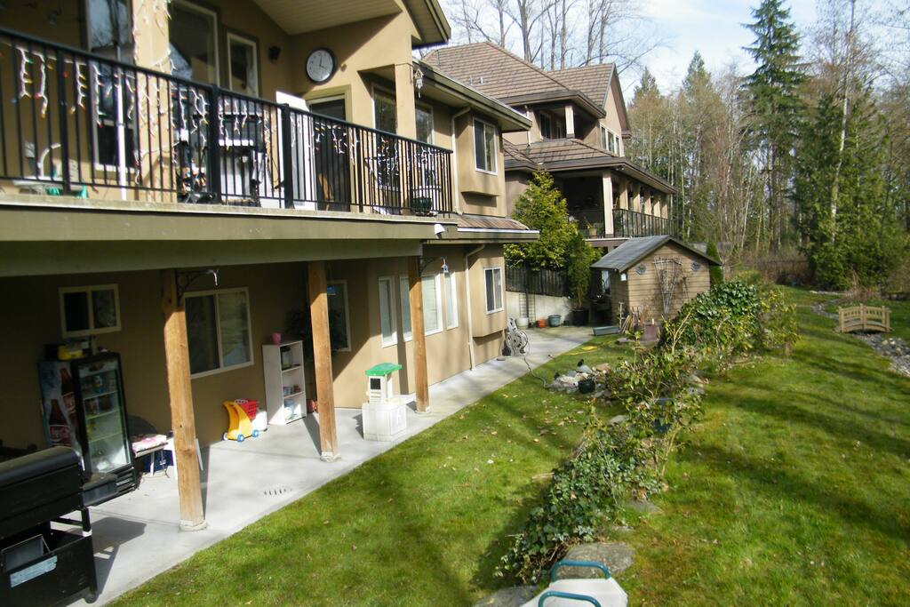 The back yard.
