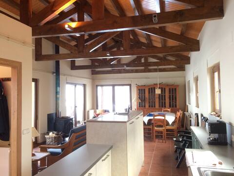 Cozy and spacious mountain house